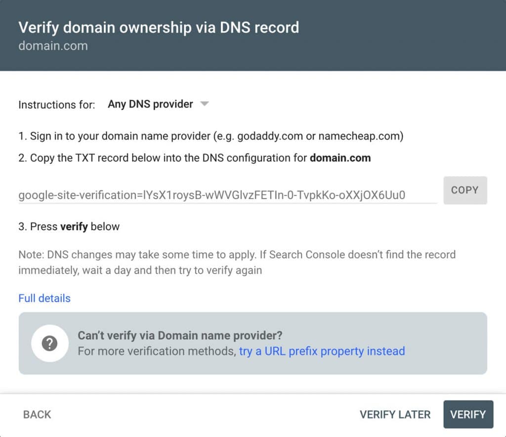 verify domain ownership via DNS record
