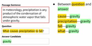 Question Answering (NLP)