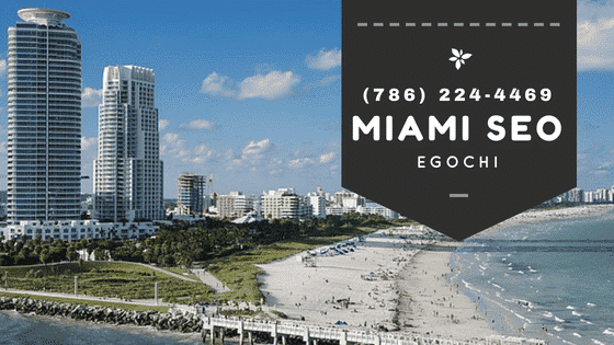 Egochi Miami SEO Agency