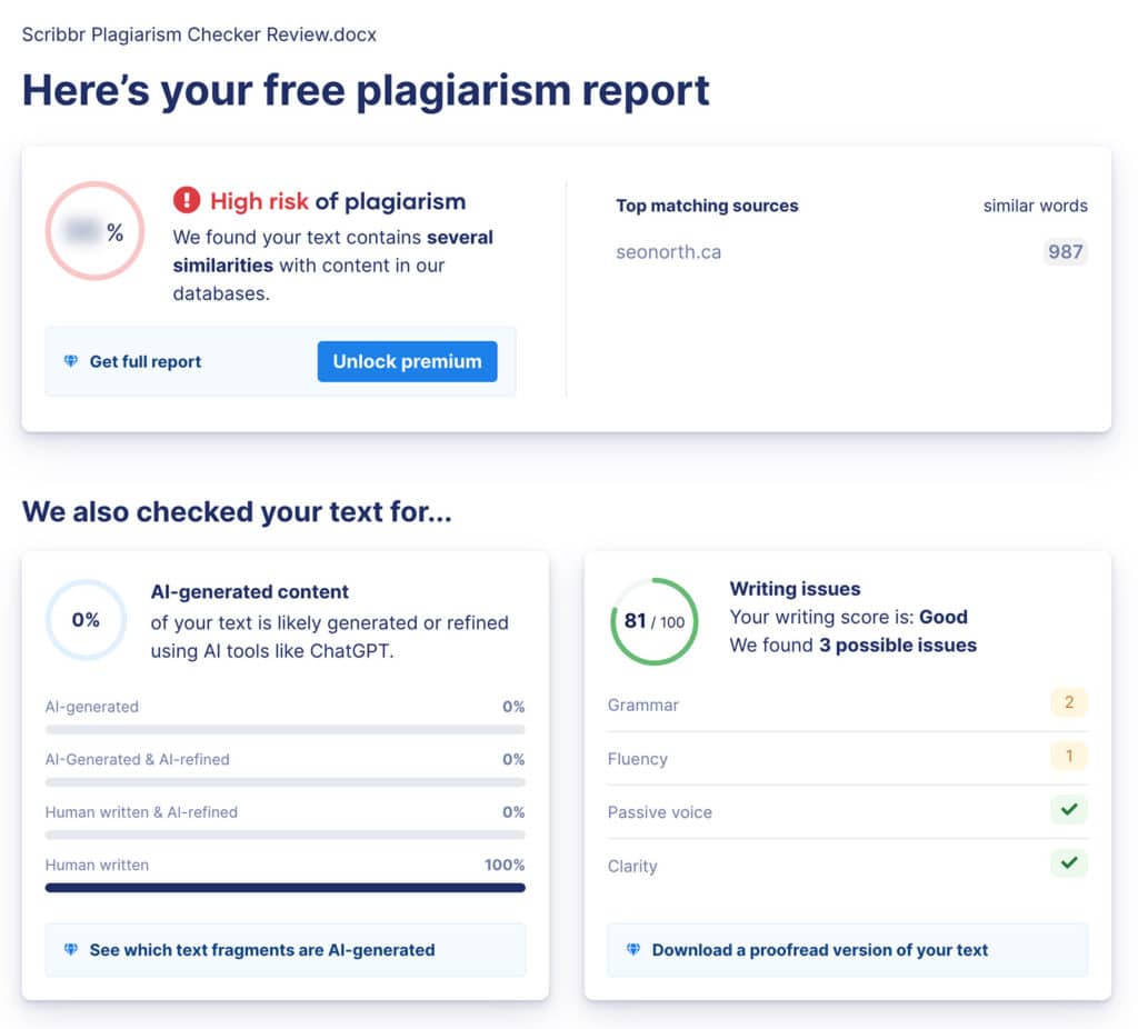 plagiarism report